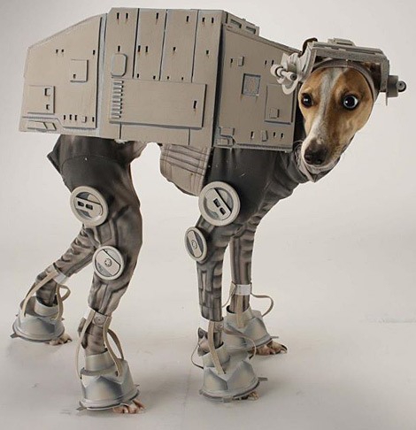 Tierischer Star Wars Fan Tierischer Star Wars Fan